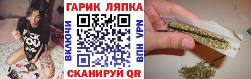 Купить закладки  Пошехонье  Гашиш гарик 