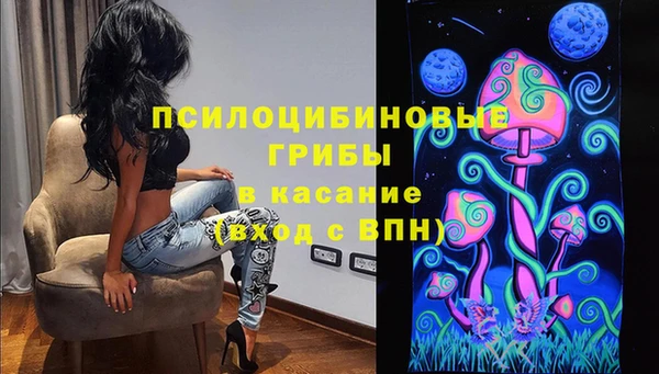 прущие крисы Горно-Алтайск