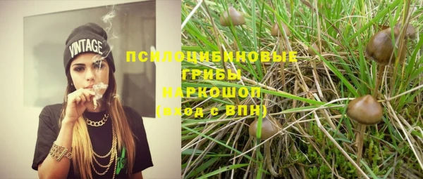 прущие крисы Горно-Алтайск