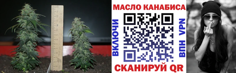 Дистиллят ТГК вейп с тгк  Купить где  Пошехонье 